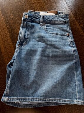 NWT American Eagle Low Rise Baggy Short